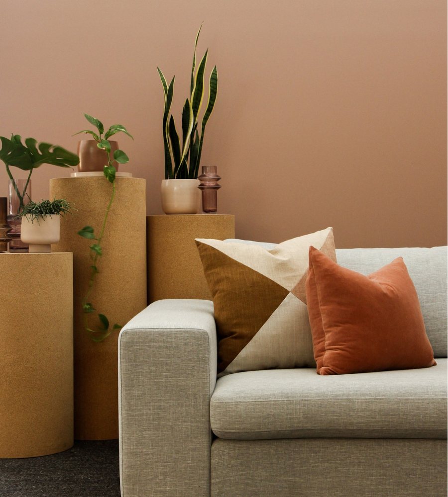 A calm living room with a sofa and plants